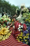 Funchal: Viloa envergando o padro tradicional / Viloa using traditional colours - photo by F.Rigaud