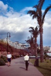 Madeira - Funchal: promenade do Lido / Lido promenade - photo by F.Rigaud