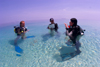 Pulau Mabul, Sabah, Borneo, Malaysia: dive instructor teaching PADI course in the shallow waters of the Celebes Sea - photo by S.Egeberg