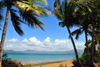 Pamandzi, Petite-Terre, Mayotte: beach and coconut trees - ilt M'Bouzi and Mahor island in the background - photo by M.Torres