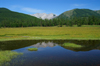 Khvsgl lake / Nuur, Khvsgl province, Mongolia: reflections - photo by A.Ferrari