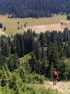 Montenegro - Crna Gora - Durmitor national park: down the slope - photo by J.Kaman