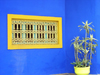 Morocco / Maroc - Marrakesh: Jardin Majorelle - deep colours - Av. Yacoub el Mansour - photo by J.Kaman