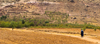 Morocco - Taroudant: dirt road - Sous Valley - photo by M.Ricci