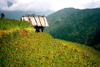 Nepal - Annapurna region: hut on a hill - photo by G.Friedman