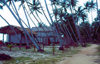 Nigeria - Lagos / LOS: bungalows on the beach - photo by Dolores CM