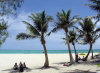 Northern Marianas - Saipan - Managaha island: beach under the palmtree (photo by Peter Willis)