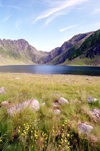 Norway / Norge - Lofoten islands (Nordland): spring field (photo by Juraj Kaman)