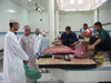 Oman - Nizwa: fish market - tuna - photo by B.Cloutier