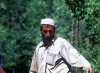 Pakistan - Murree Hills/Margalla Hills: Man carrying contruction material - photo by R.Zafar