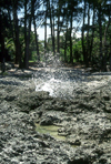 Anguar island, Palau / Belau: blow hole -  inland end of a sea cave - photo by M.Sturges