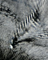 Peter I island / Per I y: Lars Christensen Peak rising 1,640 meters from the frigid Bellingshausen Sea - clouds arranged in a ship-wave-shaped wave pattern following the disrupted air currents - photo by NASA,  J.Schmaltz, MODIS RRT/GSFC (in P.D.)