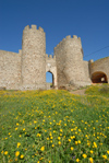 Portugal - Alentejo - voramonte: flowers by the Freixo gate / Porta do Freixo - flores - photo by M.Durruti