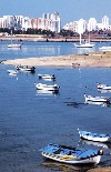 Portugal - Algarve - Ferragudo (Concelho de Lagoa): barcos ancorados em frenta  Praia da Rocha - photo by T.Purbrook