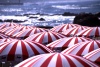 Portugal - Porto: Foz - a praia - floresta de guada-sois / Foz - the beach - forest of parasols - photo by F.Rigaud