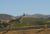 Carneiro (Lamego): vineyards and Sandeman's iconic symbol - Douro river valley - vinhas e o iconico simbolo do Porto Sandeman - vale do Douro - photo by M.Durruti