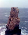 Portugal - Cape Carvoeiro - Cabo Carvoeiro (Concelho de Peniche): Atlantic rest area / area de repouso no Atlntico - photo by M.Durruti