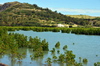 Baie Malgache, Rodrigues island, Mauritius: hills and mangrove - photo by M.Torres