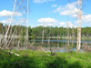 Russia - Meshera Forest  - Moscow oblast: Udarnik meterorite crater (photo by Dalkhat M. Ediev)