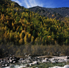 Lake Baikal, Buryat Republic, Siberia, Russia: Sayan Mountains - part of South Siberian mountains - mountain creek and forest - photo by A.Harries