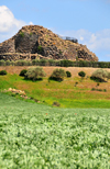 Barumini, Medio Campidano province, Sardinia / Sardegna / Sardigna: Su Nuraxi nuraghic complex - fortified village - UNESCO World Heritage Site - photo by M.Torres