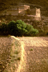 Saudi Arabia - Asir province - Abha: farm - photo by F.Rigaud