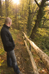 Slovenia - forest walks around Brezice - photo by I.Middleton