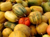 Spain / Espaa - / aboboras / pumpkins (photo by Angel Hernandez)