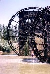 Syria - Hama: playing with the waterwheel - norias of Bichriyat - Orontes river (photo by Magmumeh)