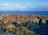 Tasmania - Bridport: Granite Point Coastal Reserve (photo by Luca dal Bo)