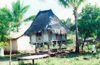 East Timor - Timor Leste: traditional house on stilts - village scene (photo by Mrio Tom)