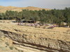 Tunisia / Tunisie - Mides oasis: palms by the canyon - dying textiles (photo by J.Kaman)