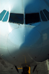 Istanbul, Turkey: nose view of Turkish Airlines Airbus A340-313X Kocaeli TC-JIH cn-270- Atatrk-International-Airport - photo by M.Torres