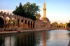 Urfa / Edessa / Urhai / Riha / Sanliurfa, Southeastern Anatolia, Kurdistan, Turkey: Pool of Sacred Fish - where Abraham was thrown into the fire by Nimrod - Balikligl - Halil-ur-Rahman mosque - photo by C. le Mire