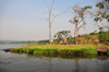 Jinja, Uganda: source of the Nile river at Lake Victoria (left), Napoleon gulf - the grass covered Ripon Falls island, the falls themselves disappeared with the construction of Owen Falls Dam - photo by M.Torres