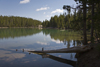 Yellowstone National Park, Wyoming, USA: a lodge pole pine forest is reflected in a small lake - photo by C.Lovell