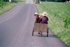 Amish cemetery (Pennsylvania) - - photo by J.Kaman