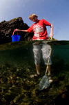 Martins Haven, Pembrokeshire, Wales: boy fishing with net in sea - photo by D.Stephens