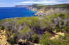 Australia - Kangaroo Is., South Australia: North coast cliffs - photo by G.Scheer