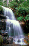 Mount Buangor State park, Victoria, Australia: Ferntree Falls - photo by G.Scheer