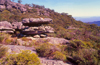 Grampians National Park, Victoria, Australia: Mt. Rosea area - photo by G.Scheer