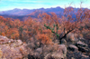 Grampians National Park, Victoria, Australia: view over the park from Mt. William - photo by G.Scheer