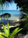 Caribbean - Six Men's Bay - St Peter Parish: west coast near Port St Charles - photo by P.Baldwin