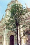 Leuven / Louvain (Flanders / Vlaanderen - Brabant province): St-Pieterskerk / Collgiale St-Pierre (photo by Asya Umidova)