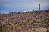 El Alto, La Paz department, Bolivia: houses perched on the rim of the Choqueyapu canyon - photo by M.Torres