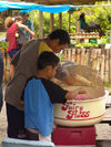 Cook Islands - Rarotonga island: making fairy floss on market day - sweets - Cotton candy - candy floss -cotton candy - photo by B.Goode