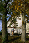 La Varenne, Val-de-Marne, Ile-de-France: jogger - photo by Y.Baby