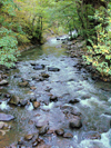 Borjomi-Kharagauli National Park, Samtskhe-Javakheti region, Georgia: Borjomi river - water - photo by N.Mahmudova