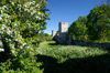 Gotland - Visby: trees and the northern wall - ringwall - photo by A.Ferrari