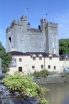 Ireland - Bunratty: the castle (photo by M.Bergsma)